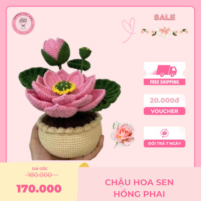 cách móc chậu hoa sen
