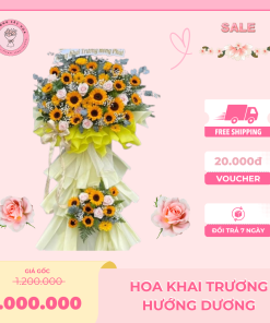 Hoa khai trương hướng dương