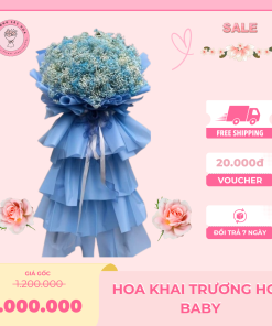 Hoa khai trương hoa Baby