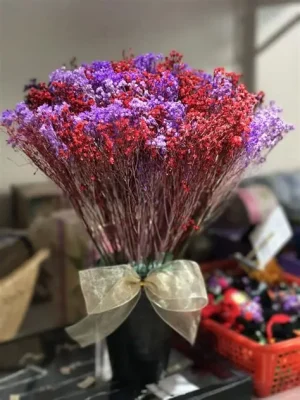 các loại hoa khô đẹp