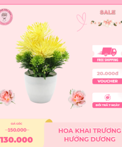 Chậu Cây Hoa Nhựa Trang Trí