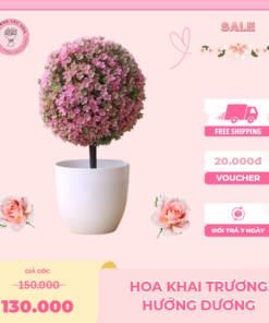 Chậu Hoa Giả, Bình Hoa Nhựa Để Bàn