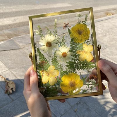 các loại hoa khô đẹp