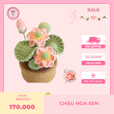 cách móc chậu hoa sen