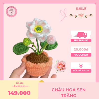 cách móc chậu hoa sen