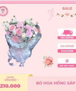 Hoa Sáp Yêu Thương